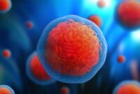 Sitoplasma Pengertian, Komposisi, Fungsi dan Teknologi