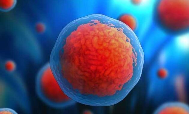 Sitoplasma Pengertian, Komposisi, Fungsi dan Teknologi