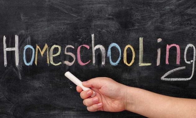 Panduan Lengkap Memulai Program Homeschooling di Rumah Sendiri