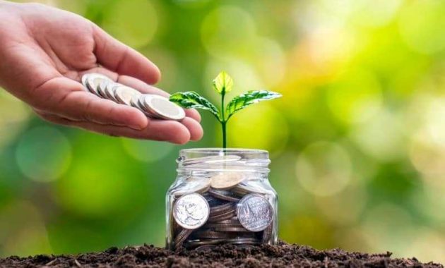 Tak Perlu Khawatir, Reksadana Pasar Uang Tetap Aman Saat Krisis, Ini Alasannya!