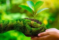 869ec5246498e013869ec5246498e013bd8f69b2efee9471a0c1fe7642541030 10 Upaya DLH Kota Gianyar Mengelola Lingkungan Demi Masa Depan