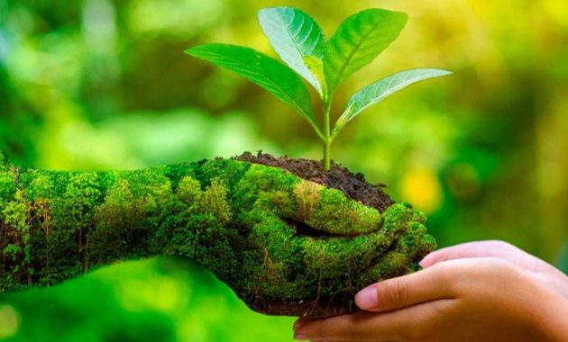 10 Upaya DLH Kota Gianyar Mengelola Lingkungan Demi Masa Depan