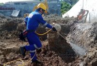 8 Solusi Jasa Anti Rayap Profesional untuk Melindungi Rumah dari Kerusakan