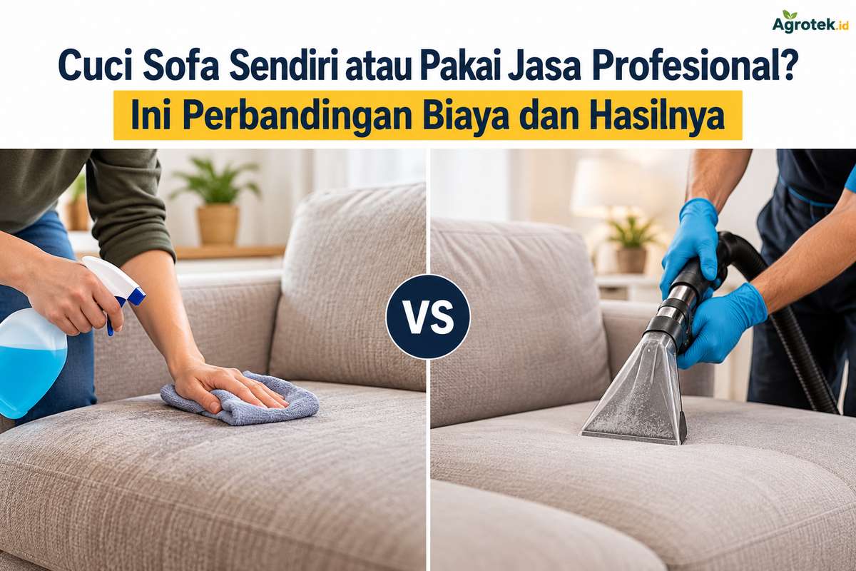 Cuci Sofa Sendiri atau Pakai Jasa Profesional Ini Perbandingan Biaya dan Hasilnya