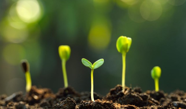 Pengertian Nutrisi Tanaman Ilmu Pertanian